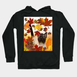 Cute Funny Siamese Cat, Fall Design Hoodie